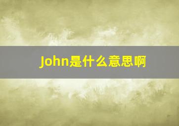 John是什么意思啊