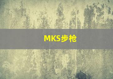 MKS步枪