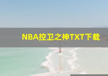 NBA控卫之神TXT下载