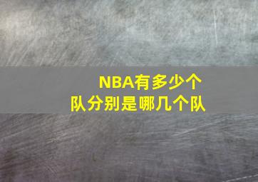 NBA有多少个队分别是哪几个队