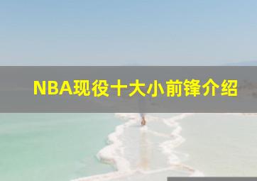 NBA现役十大小前锋介绍