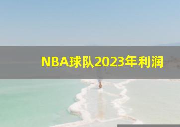 NBA球队2023年利润