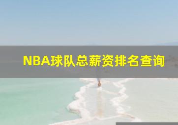 NBA球队总薪资排名查询