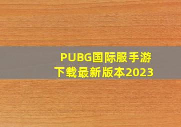 PUBG国际服手游下载最新版本2023