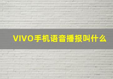 VIVO手机语音播报叫什么