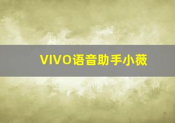 VIVO语音助手小薇