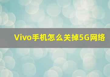 Vivo手机怎么关掉5G网络