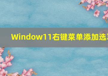 Window11右键菜单添加选项