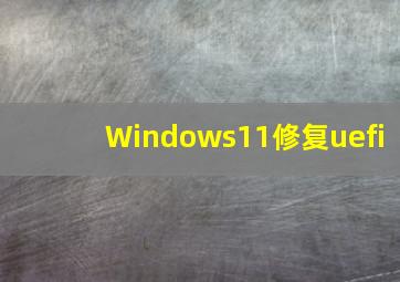 Windows11修复uefi