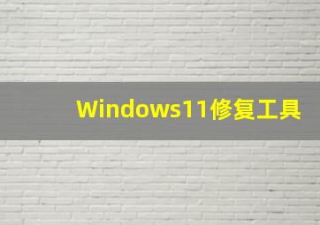 Windows11修复工具