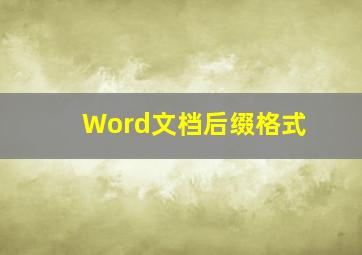 Word文档后缀格式