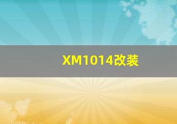 XM1014改装