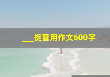 ___挺管用作文600字