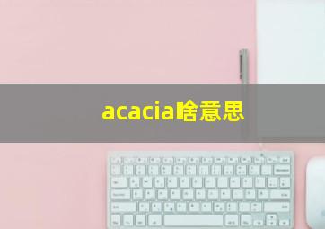 acacia啥意思