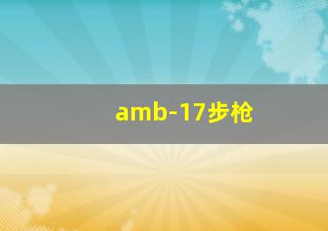 amb-17步枪