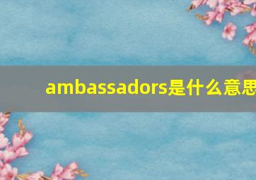 ambassadors是什么意思