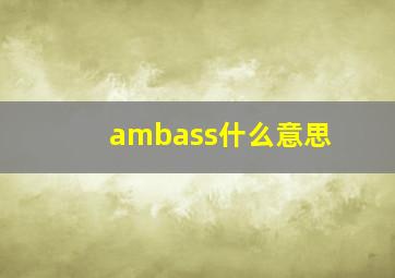 ambass什么意思