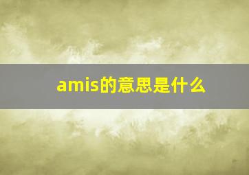 amis的意思是什么