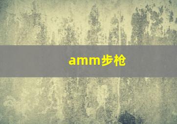 amm步枪