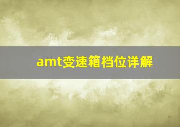 amt变速箱档位详解