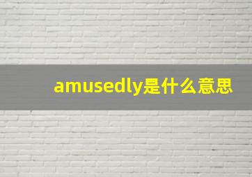 amusedly是什么意思