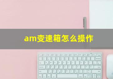 am变速箱怎么操作