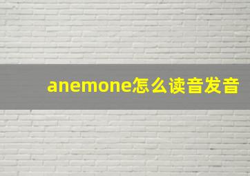 anemone怎么读音发音