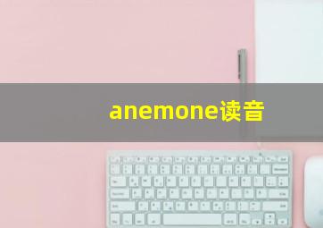 anemone读音