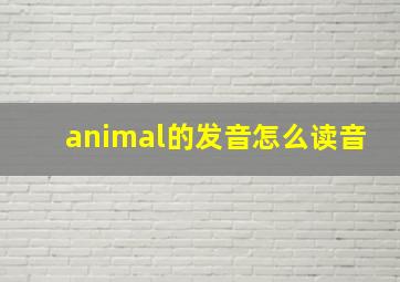 animal的发音怎么读音