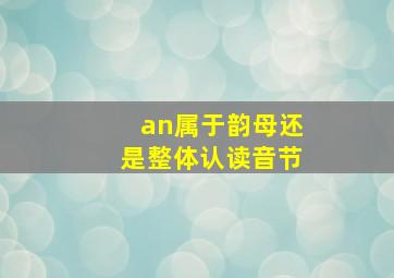 an属于韵母还是整体认读音节