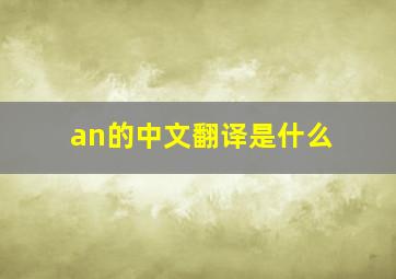 an的中文翻译是什么