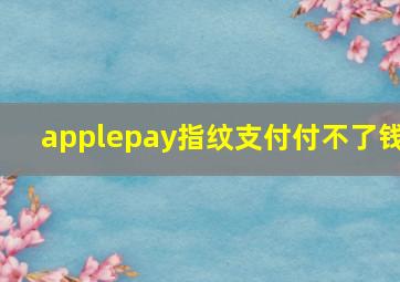 applepay指纹支付付不了钱