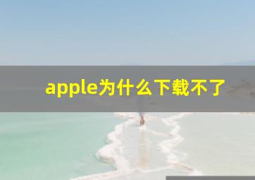 apple为什么下载不了