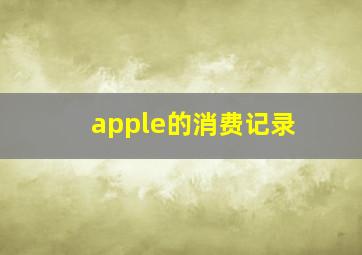 apple的消费记录