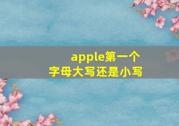 apple第一个字母大写还是小写