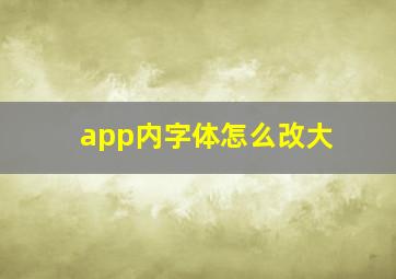 app内字体怎么改大