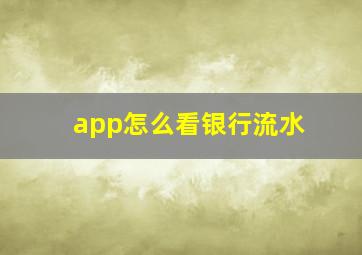 app怎么看银行流水