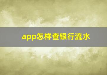 app怎样查银行流水