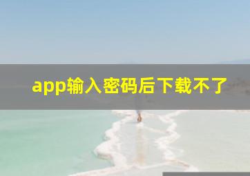 app输入密码后下载不了