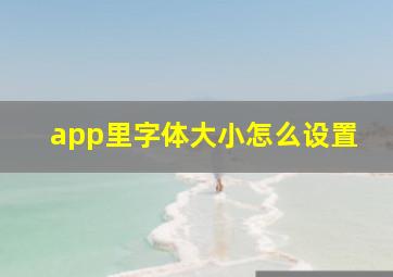 app里字体大小怎么设置