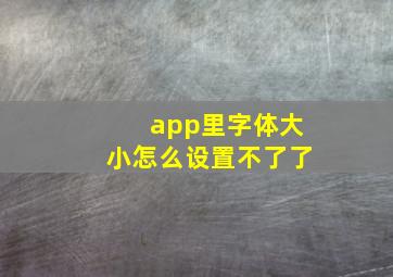 app里字体大小怎么设置不了了