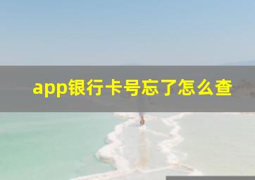 app银行卡号忘了怎么查