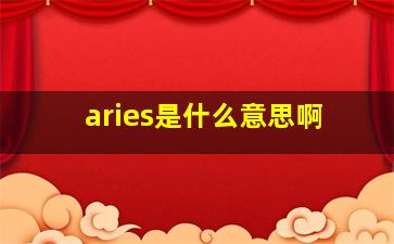 aries是什么意思啊