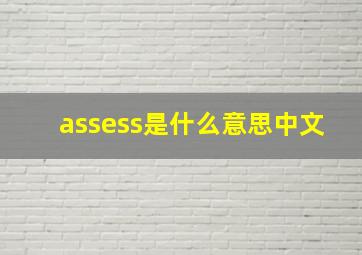 assess是什么意思中文