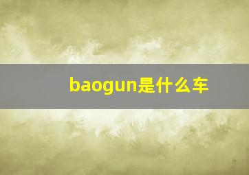 baogun是什么车