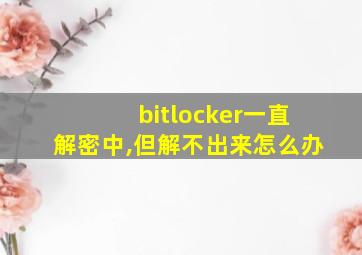 bitlocker一直解密中,但解不出来怎么办