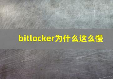 bitlocker为什么这么慢