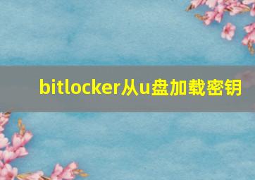 bitlocker从u盘加载密钥