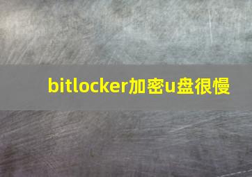 bitlocker加密u盘很慢