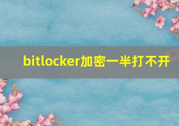 bitlocker加密一半打不开